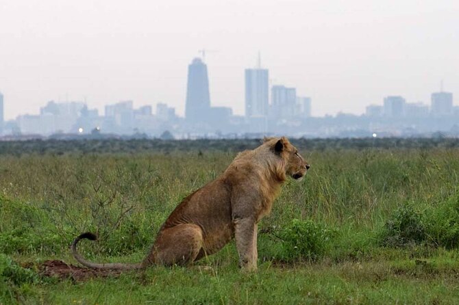 Private Nairobi National Park Day Tour - Tour Participation Details