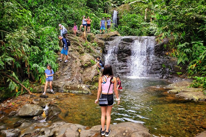 Private Rainforest Waterfalls and Beach Hiking Tour From San Juan - Additional Information