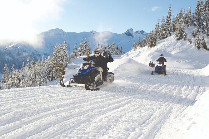 Private Snowmobile Tour in Whistler - Collision Coverage