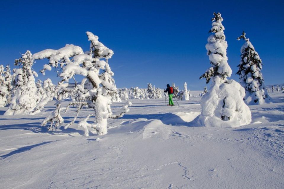 Private Snowshoeing Night Trip and Dinner in a Refuge - Meeting Point