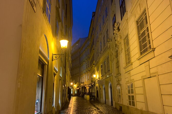 Private Spooky Vienna Ghost Tour - Accessibility