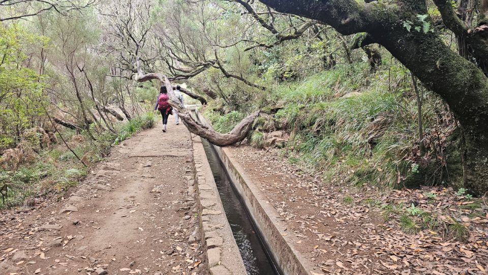 Private Tour: 25 Fontes Levada Hike - Itinerary Breakdown