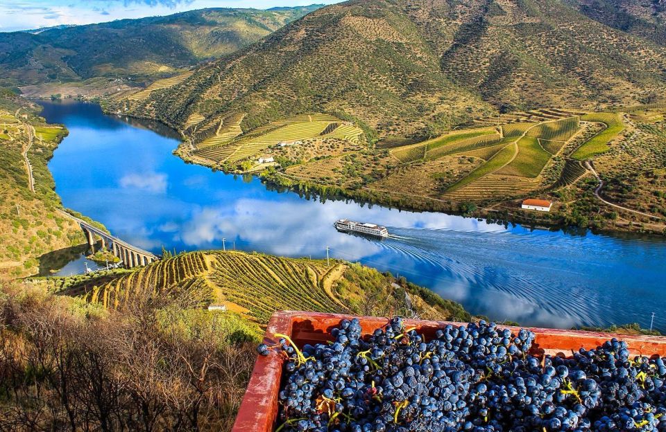 Private Tour: Douro Valley Wine and Food From Oporto - Guided Tours and Wine Tastings