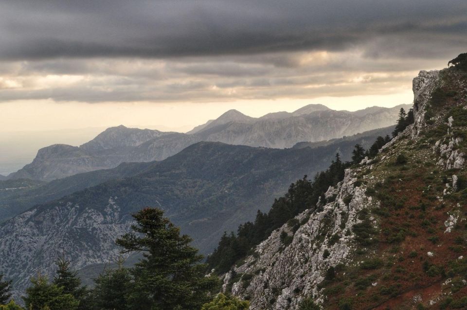 Private Tour in the Chestnut Forest of Steni Evia - Inclusions and Amenities