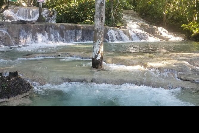 Private Tour of Dunns River Falls From Montego Bay Resorts - Accessibility Considerations