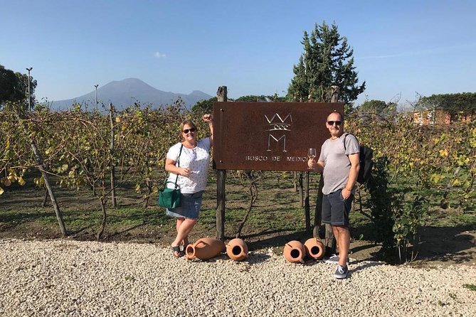 Private Tour of Pompeii Ruins + Organic Wine and Lunch Tasting - Personalized and Private Tour Experience