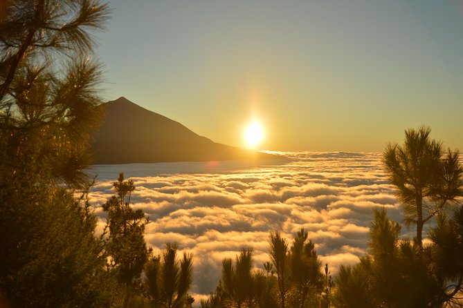 PRIVATE TOUR Teide National Park: Hiking and Stargazing - Additional Info