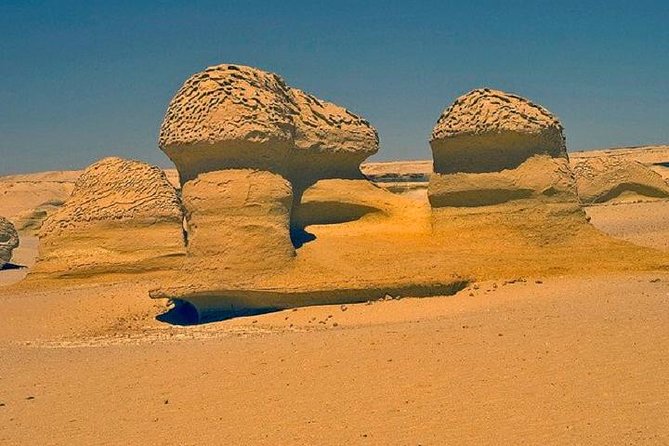 Private Tour to Fayoum Oasis, Valley of the Whales & Wadi Al Rian From Cairo. - Pricing and Cancellation