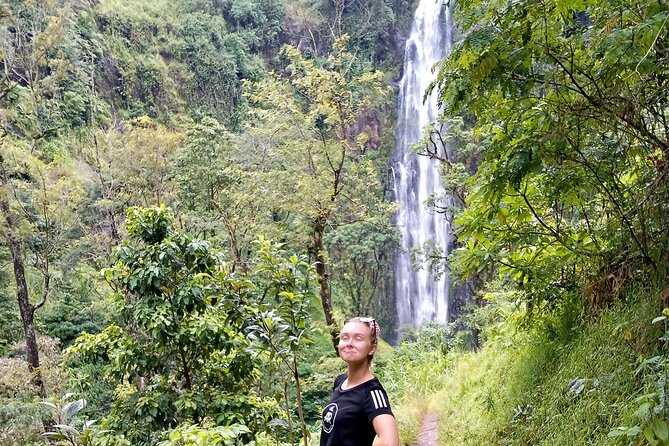 Private Tour to Materuni Waterfalls, Coffee Tour & Kikuletwa Hot- Springs - Private Tour Highlights