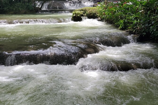 Private Tour to YS Falls, Appleton Rum Tour and Pelican Bar From Montego Bay - Booking and Cancellation