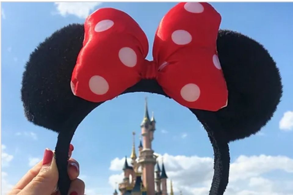 Private Transfer CDG and Orly Airports To/From Disneyland - Disneyland Transfer Advantages