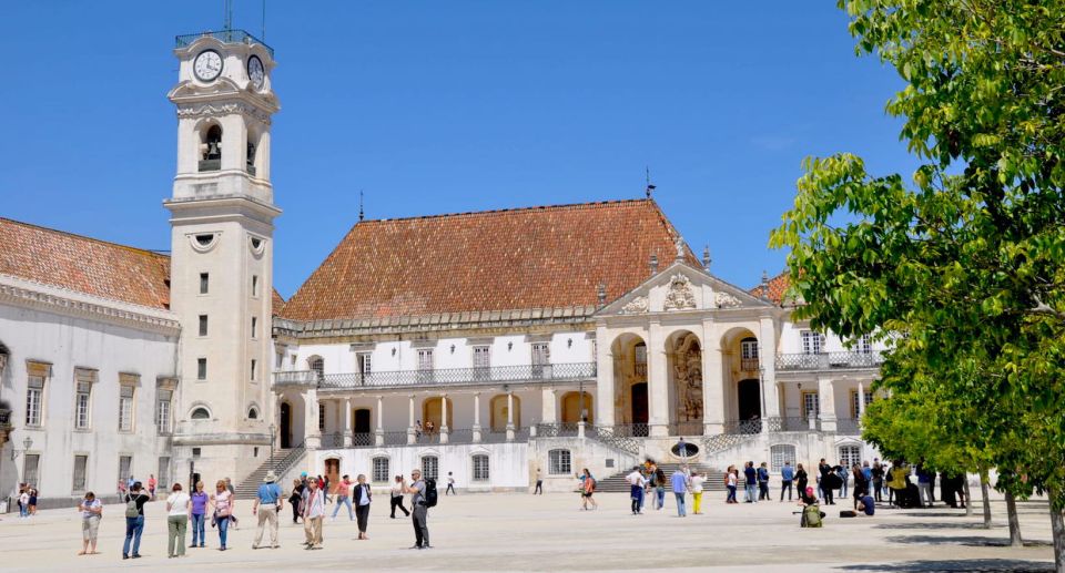 Private Transfer Lisbon to Coimbra - Vehicle and Driver