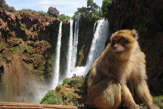 Private Trip Marrakech: Ouzoud Waterfalls Guided & Boat Ride - Tour Details