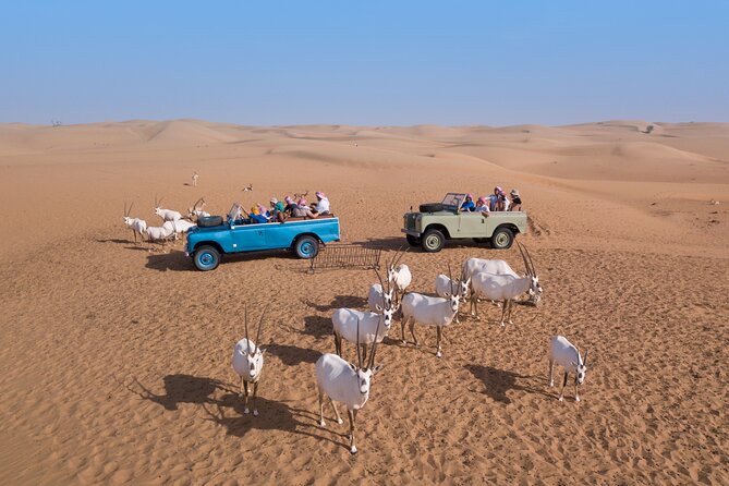 Private Vintage Land Rover Heritage Desert Safari- 4 Course Dinner & Activities - Bedouin-style Desert Camp