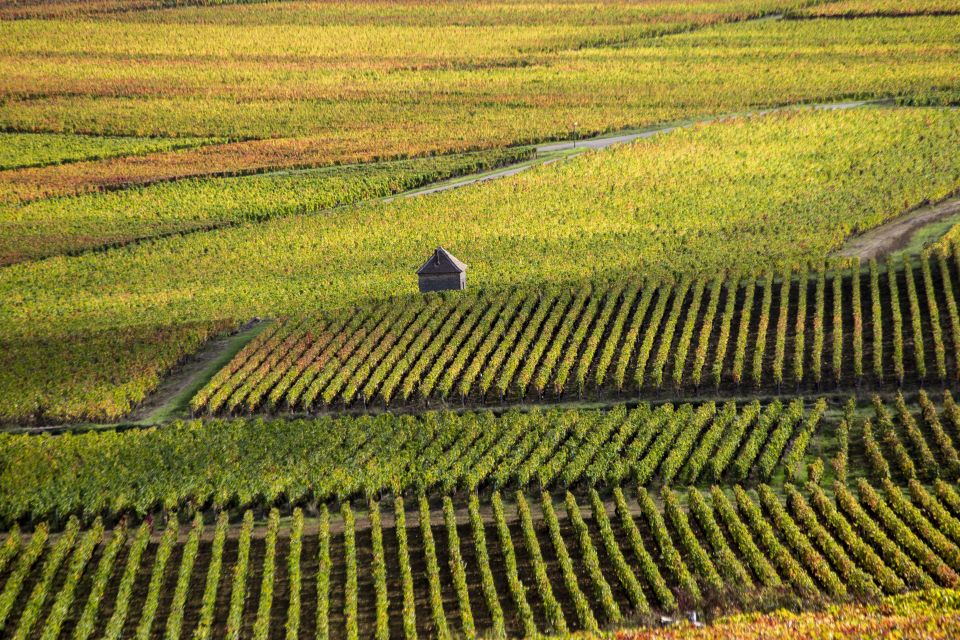 Private Wine Tour in Cote De Nuits and Cote De Beaune - Route Des Grands Crus