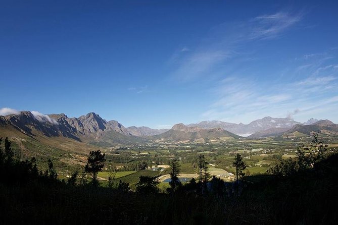 Private Wine Tour With Wine Expert to Stellenbosch-Franschhoek Wine Regions - Additional Tour Details