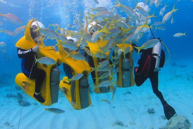 Professional Scubadoo Experience Under the Ocean in Punta Cana - Health and Safety Considerations