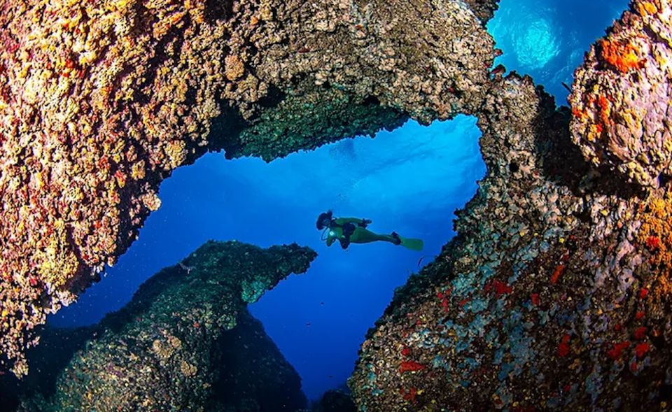 Puerto De Soller: Train and Discover Scuba Diving - Underwater Exploration of the Mediterranean