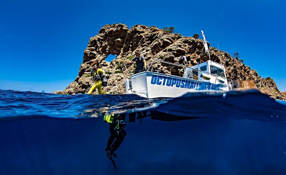 Puerto De Soller: Train and Guided Scuba Diving Experience - Guided Scuba Diving in Puerto De Soller