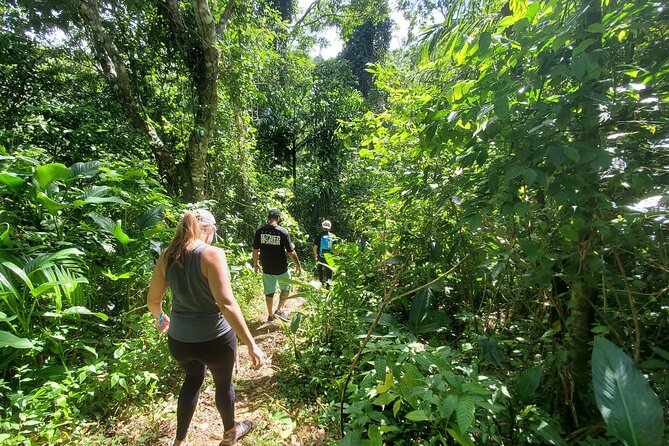 Puerto Rico Tour to El Yunque Rainforest Hiking to Waterfall - Reaching the Waterfall