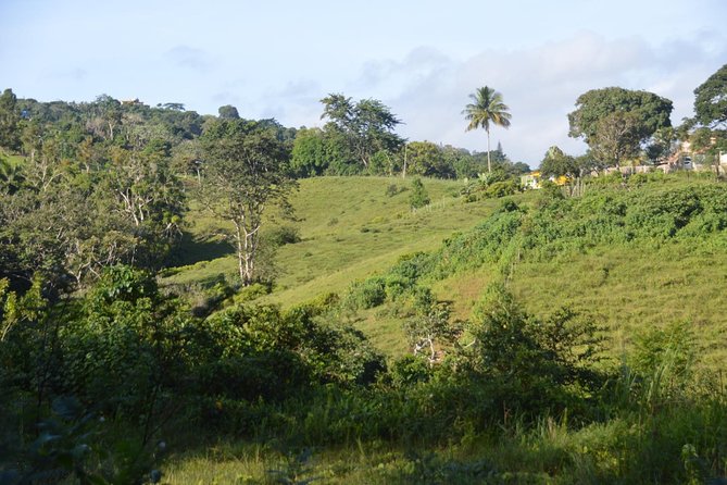 Puerto Rico Waterfall Hiking Tour: Discover Hidden Gems - Additional Information