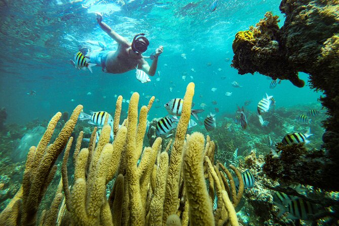 Punta Cana Adult Only Coral Nursery Snorkeling With Seafood Lunch - Itinerary and Destinations