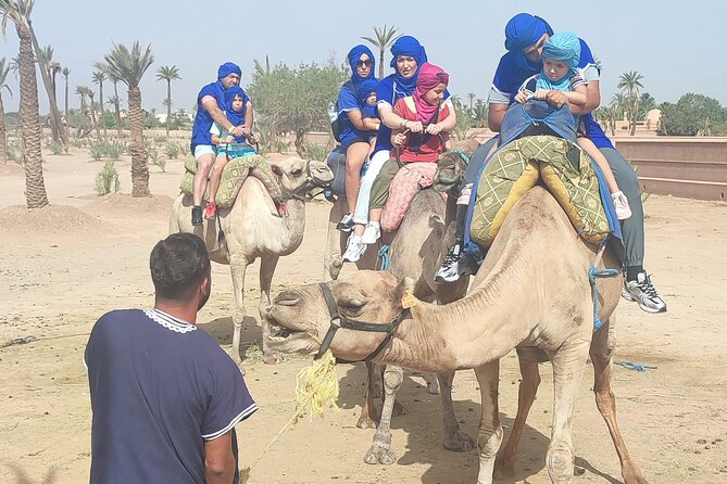 Quad and Dromedary at the Palmeraie of Marrakech With Transport - Private Transportation Included