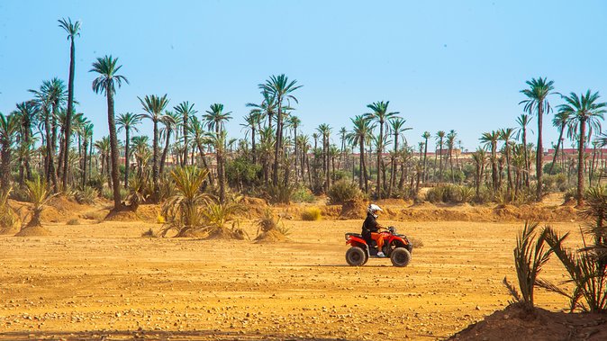 Quad Bike Experience in Marrakech Palmeraie - Pickup and Start Time