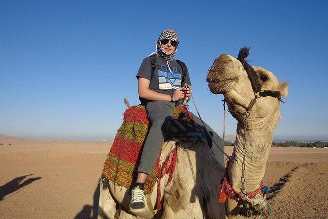 Quad Biking Safari-Camel Ride-Bedouin Dinner and Shows From Sharm - Tour Highlights