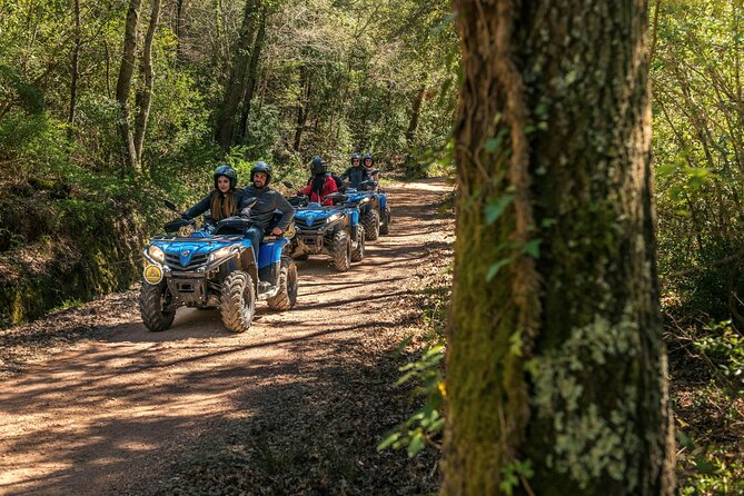 Quad Excursion in the Maremma With Barbecue in the Woods - Confirmation and Accessibility