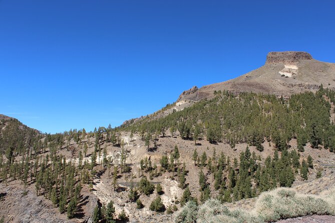 Quad Tour to the Teide National Park (3.5H) - Inclusions and Meeting Details