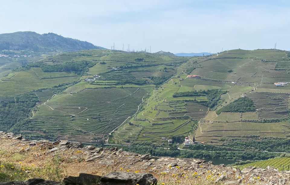 Quinta Do Vallado: Walking With Full Lunch and Wine Tasting - Douro Region Cuisine and Wines