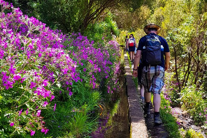 Rabacal 25 Fountains Levada Walk in Small Groups - Additional Information