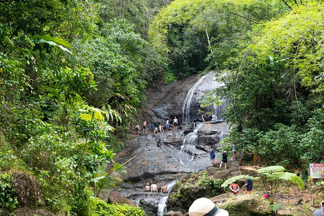 Rainforest Hike and Waterfall Safari - Additional Information