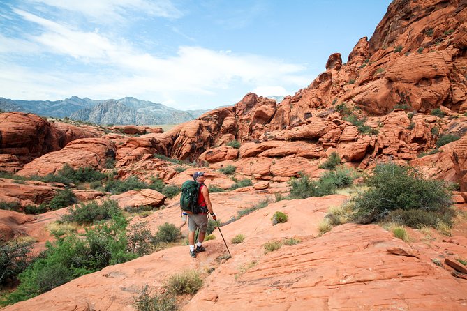 Red Rock Canyon Hike With Transport From Las Vegas - Recommendations and What to Expect