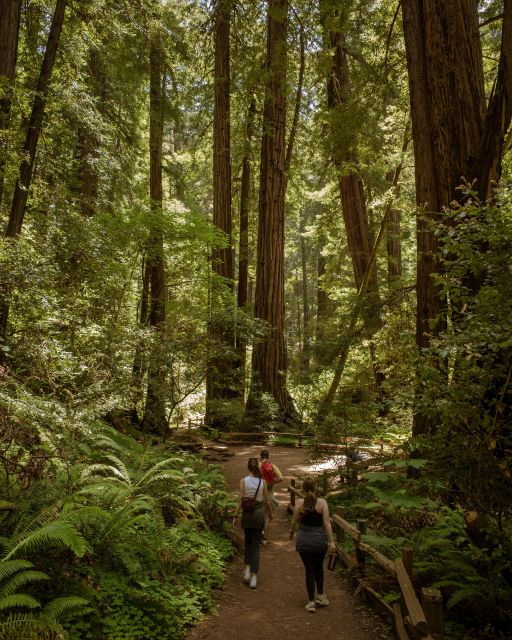 Redwoods Full Day Private Tour and Hike - Gourmet Picnic in Tranquil Settings