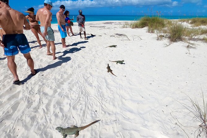 Reef, Beach and Sandbar Tour From Providenciales - Sandbar Adventure