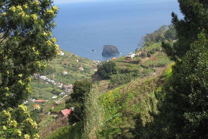 Referta Castelejo Levada Walk From Funchal - Reviews