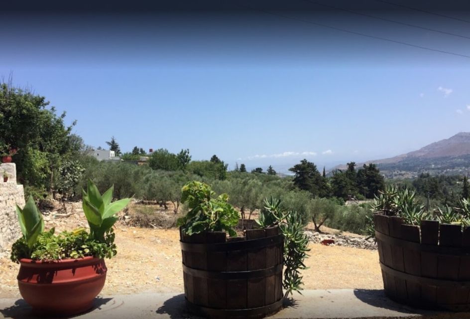 Rethymno: Private Winery & Olive Oil Tasting Tour With Lunch - Highlights of the Experience