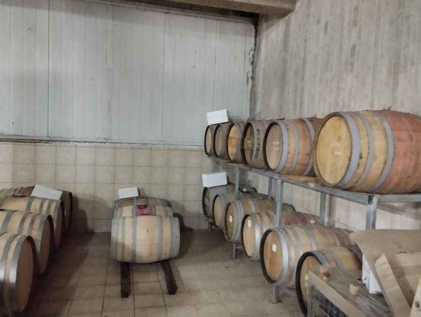 Rethymno Wine Tasting Tour - Wine Experience Details