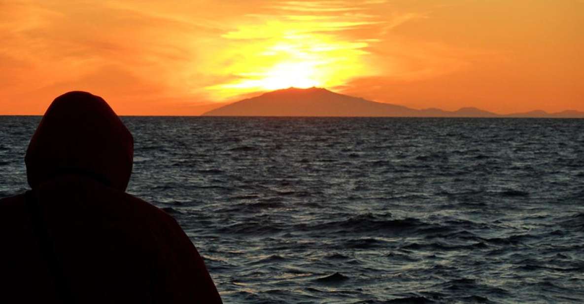 Reykjavik: Midnight Sun Whale Watching Tour - Boat and Crew