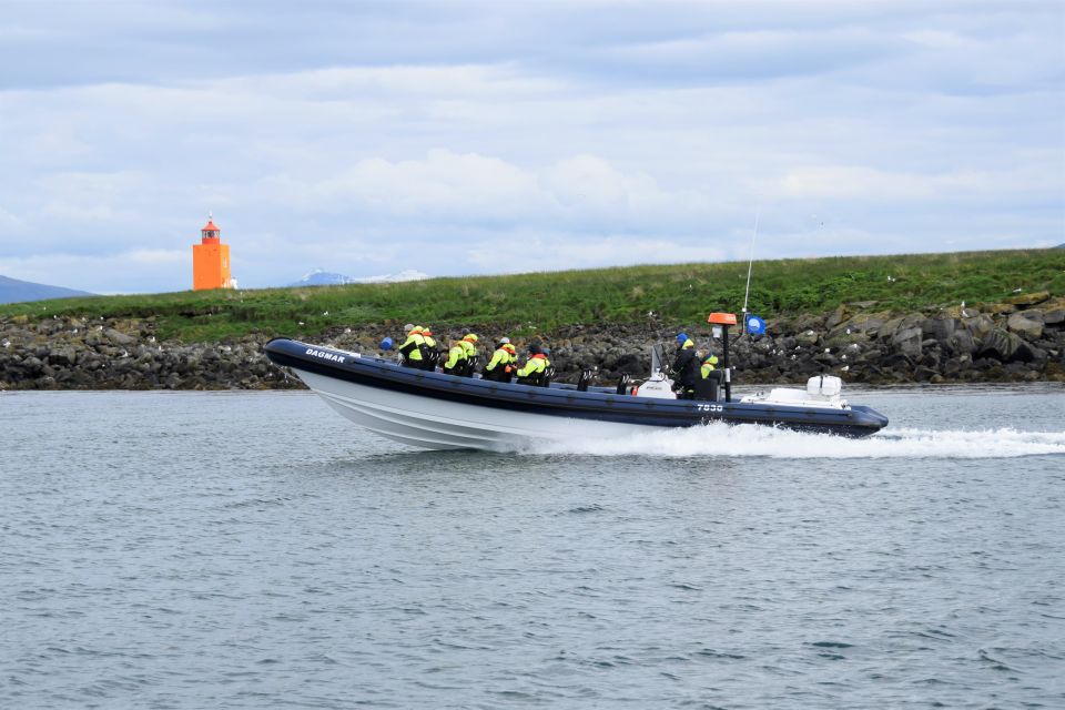 Reykjavik: Puffin Watching Tour by RIB Speedboat - Meeting Point and Arrival