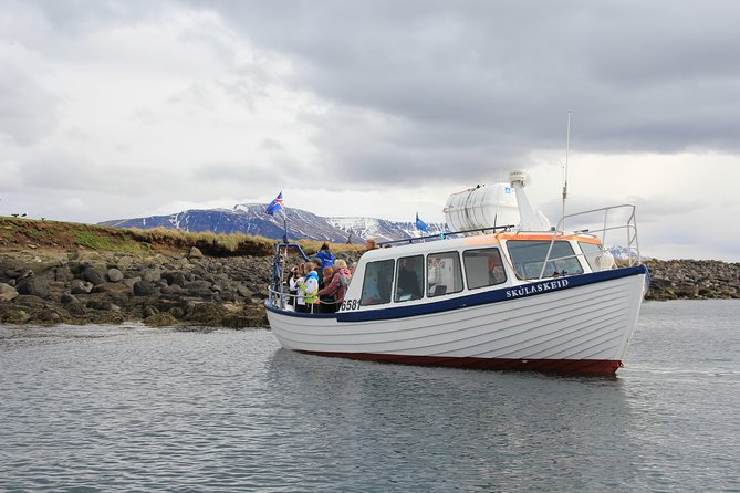 Reykjavik Shore Excursion: Puffin Sightseeing Cruise - Meeting Point and Pickup Details