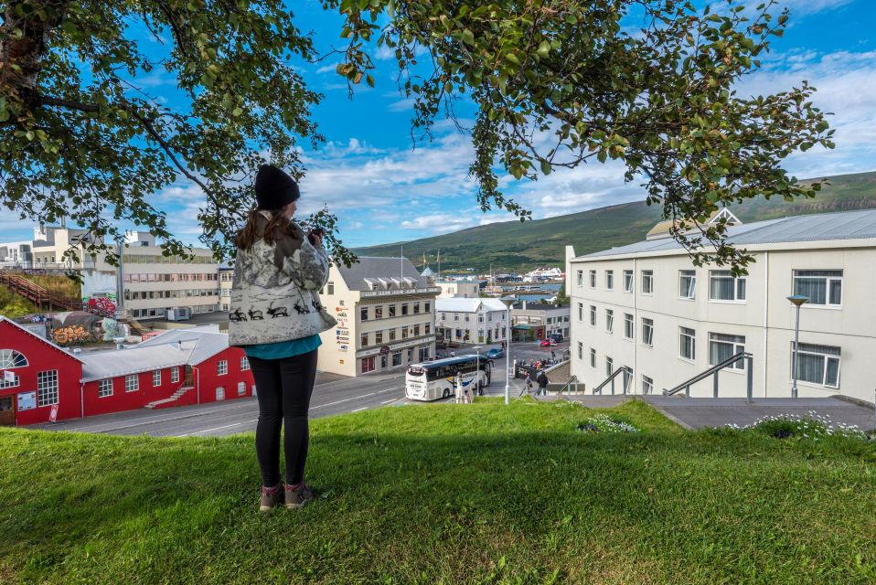 Reykjavik: Unveiling Iceland's Charismatic Capital Tour - Vibrant and Picturesque Landscapes