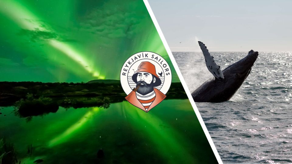 Reykjavik: Whale Watching & Northern Lights Combo Cruise - Inclusions