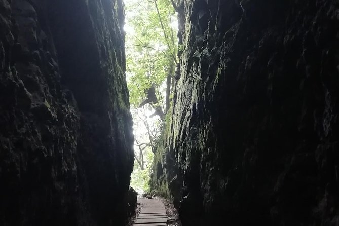 Ribeiro Frio - Portela - Small-Group Excursion Details