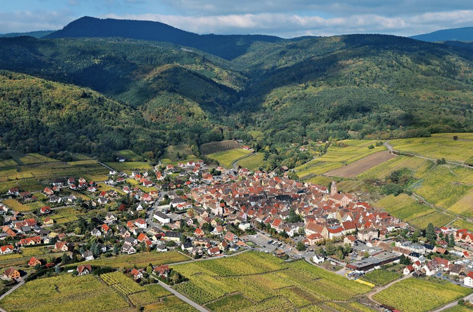 Riquewihr: Private Guided Walking Tour - Highlights of the Tour