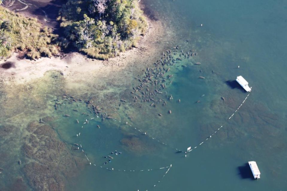 River Cruise With Manatee Viewing - Educational Experience