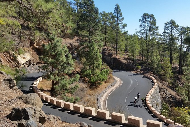 Road Cycling Tenerife - Teide Route - Participant Reviews and Feedback