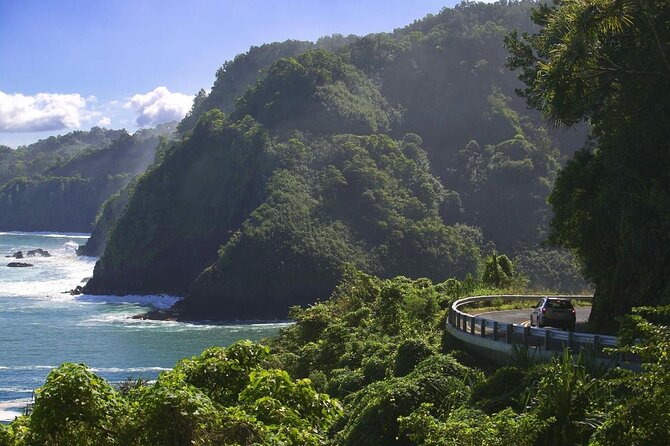 Road to Hana Adventure Tour With Pickup, Small Group - Lunch Choices